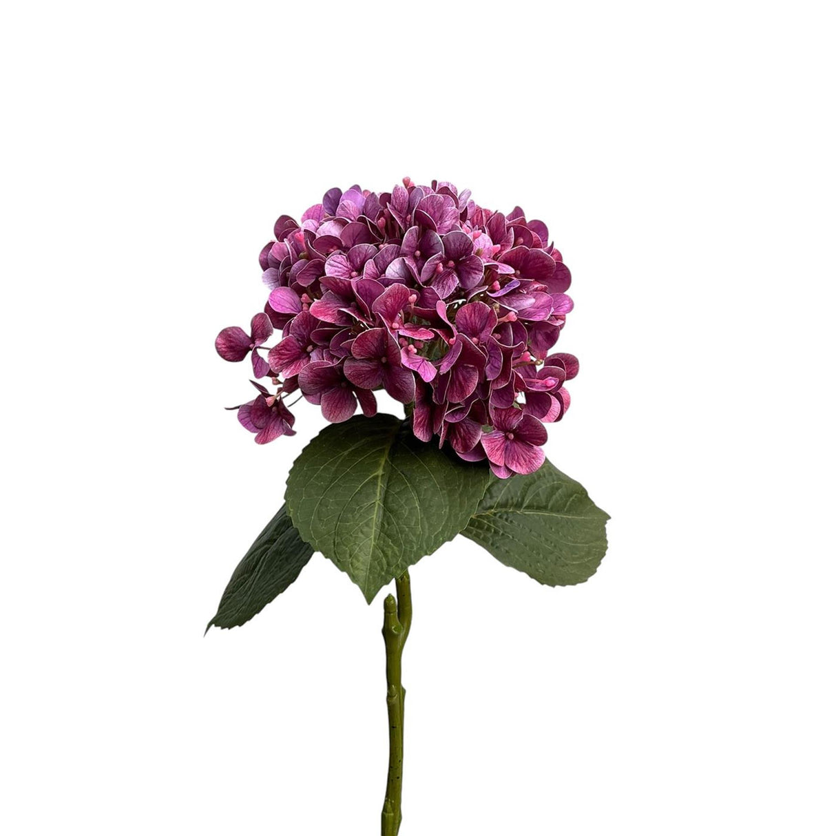 Roberts collection hortensia real touch 75cm paars