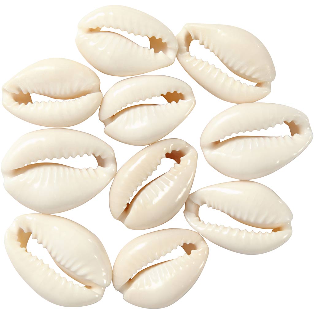 Creativ company shells, l: 20 mm, natural, 12 pieces 1 box
