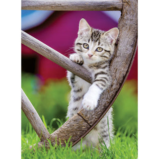 Ravensburger Puzzle Cats 2 x 500 pièces