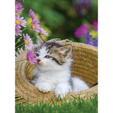 Ravensburger Puzzle Cats 2 x 500 pièces