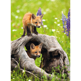 Ravensburger Puzzle Fuuss 300 xxl