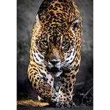 Clementoni puzzel 1000 stuks jaguar compact