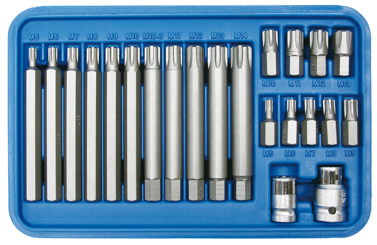 Sw stahl sw-stahl bits set ribe set 22 pcs. m5-m13 sw steel