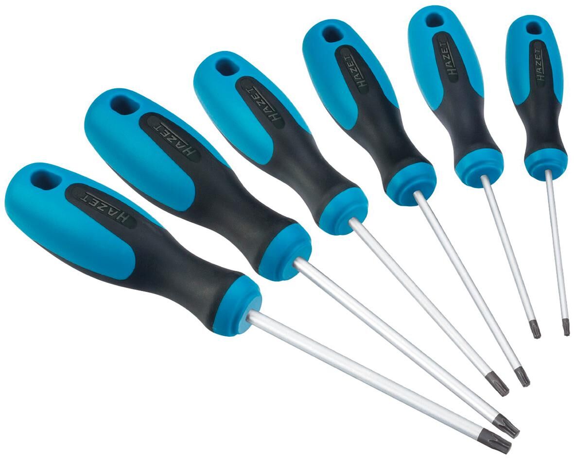 Hazet screwdriver set 810t 6 screwdriver set torx
