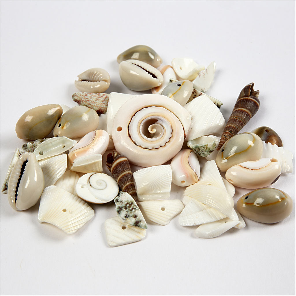 Creativ company beach shell beads, size 9-40 mm, hole size 1-1.5 mm, 120 g 1 box