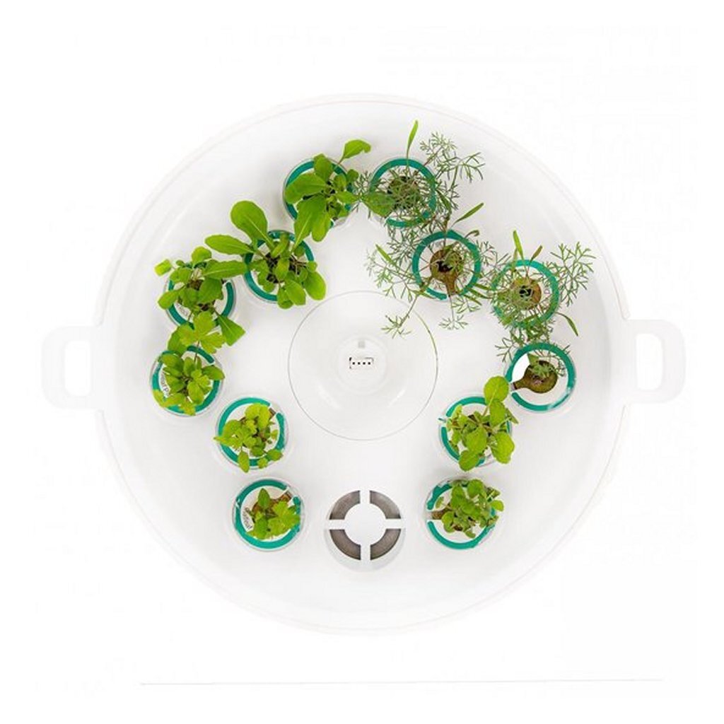 Plantui booster tray white