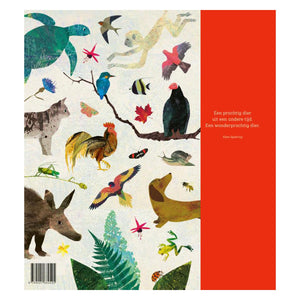 Descriptive image text