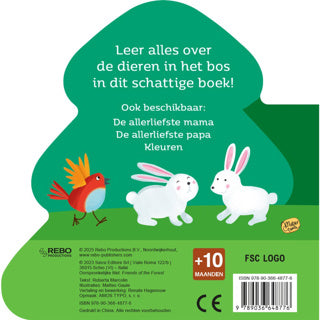 Book cardboard book animals in the forest