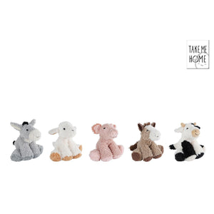 Descriptive image text