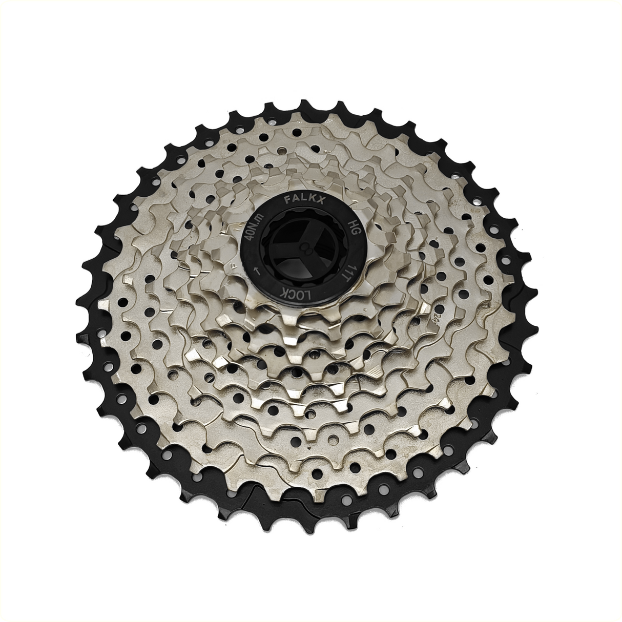 Falkx 10-Gang-Kassettenindex 11-36