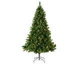 Everlands Christmas tree imperial pine210cm + LED lit
