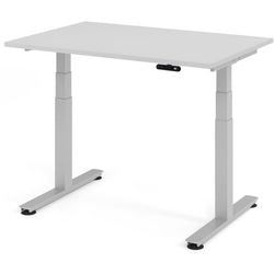 Bach sit-stand desk Hammerer grey 120x80x127cm