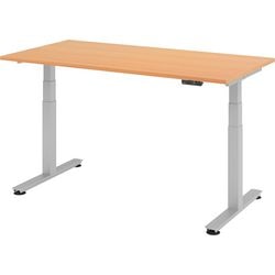Bach sit-stand desk hammerer xdsm16 6 s beech