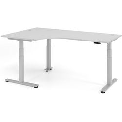 Bach sit-stand desk Hammerer grey 200x120x127