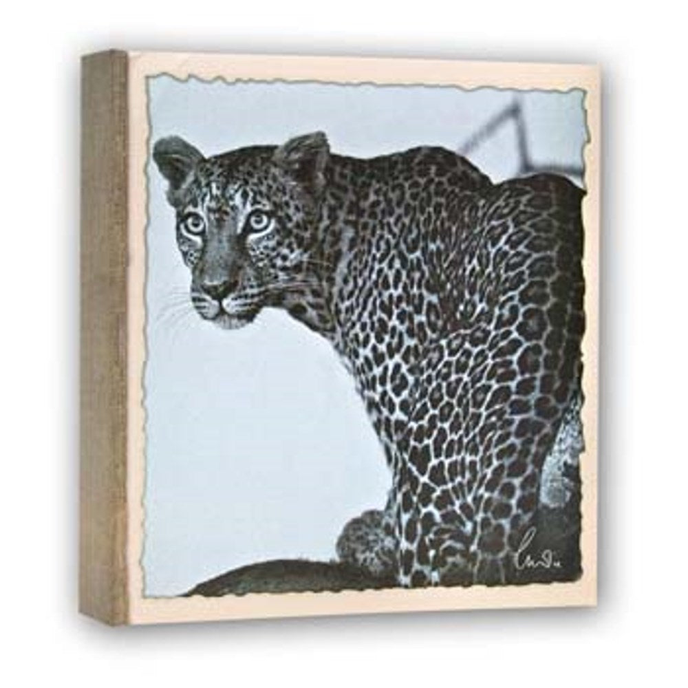 ZEP WL57100 Album Slip -I 100 Photos 13x19 cm - 12 albums