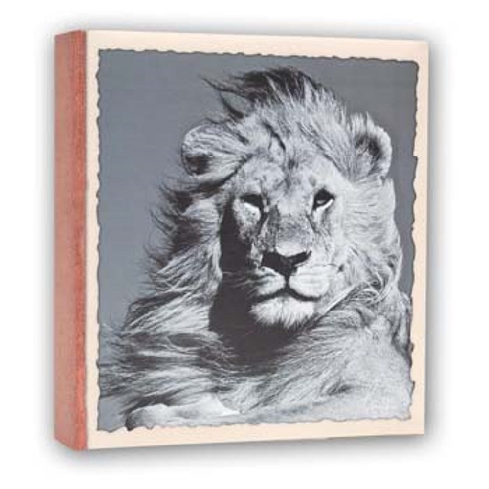 ZEP WL57100 Album Slip -I 100 Photos 13x19 cm - 12 albums