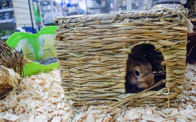 Nature first happy pet grassy hideaway hiding place