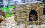 Příroda První šťastný mazlíček Grassy Hideaway Skrytí místa