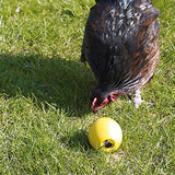 Savic frango brinquedo frango divertido