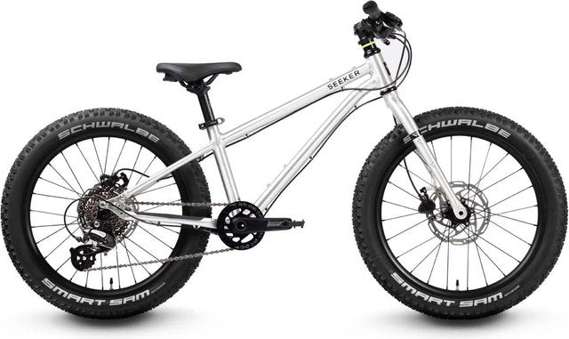 Early rider seeker 20 kids bike