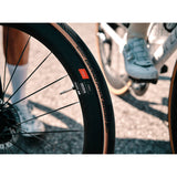 Continental Grand Prix RaceBand 700x25c, Black Brown, безкамерна, 25-622 Etro