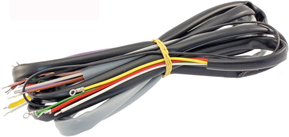 RMS wiring harness