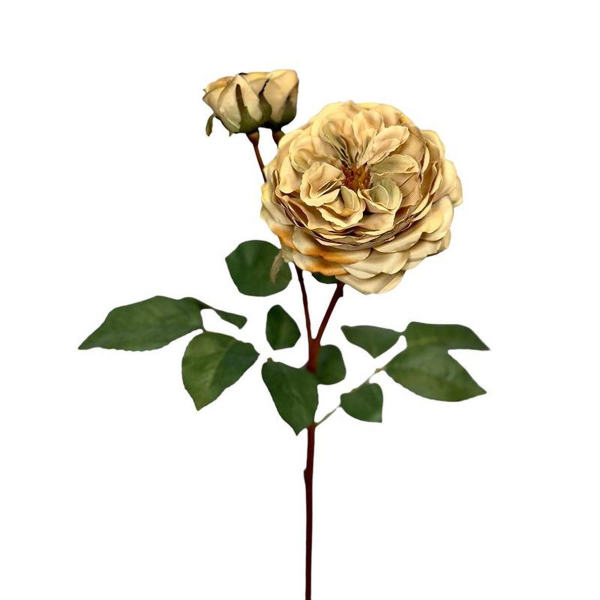 Roberts collection kunstbloem roos 55cm creme