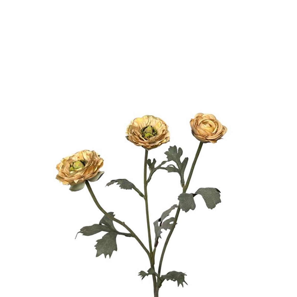 Roberts collection kunstbloem ranonkel 48cm creme