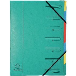 Exacompta expanding file 54073e green