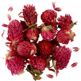 Creativ Company Dried Flowers Red Clover Purple, 15gr