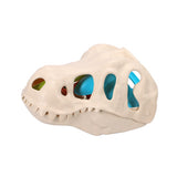 Plage Set Dino