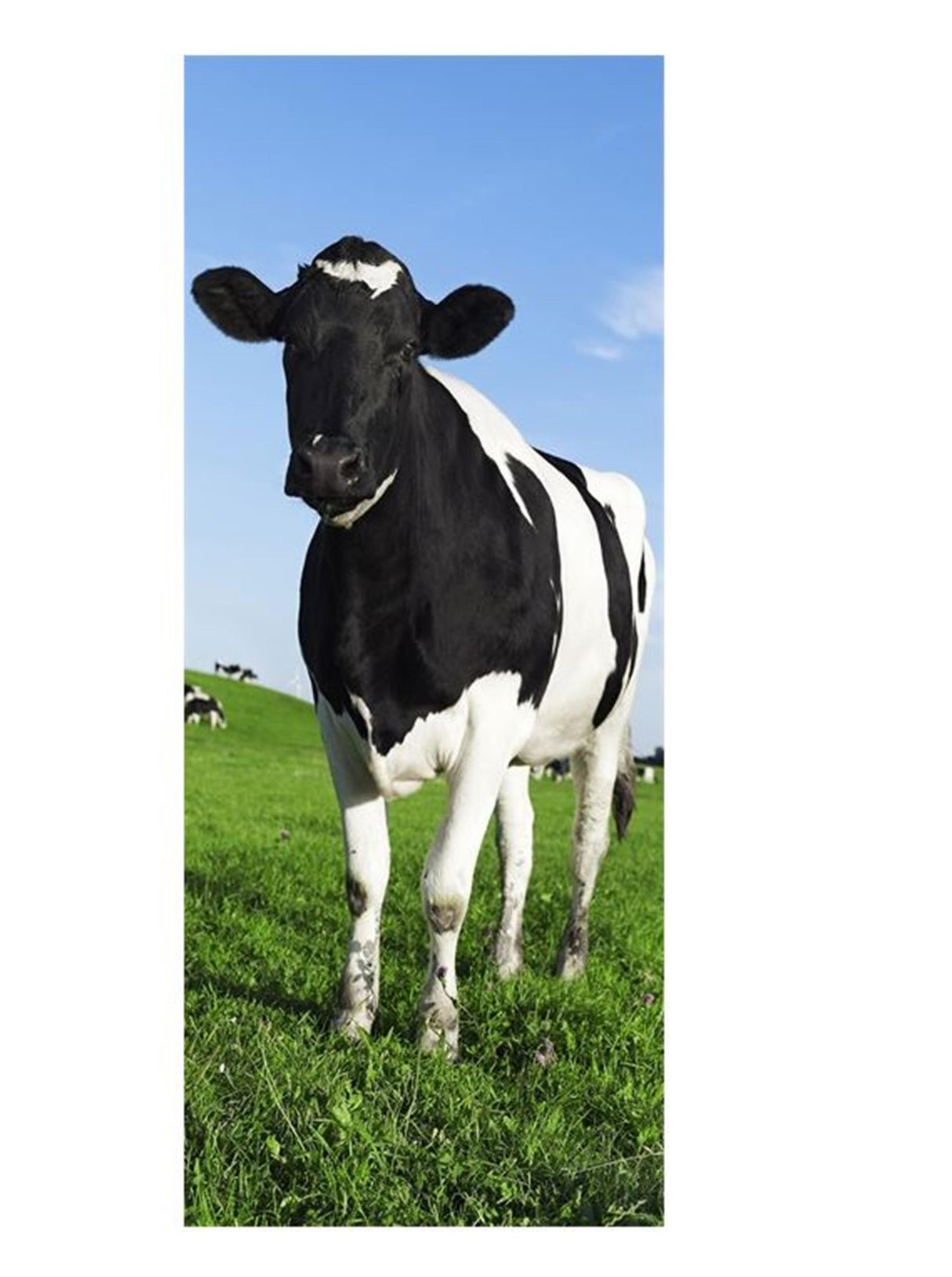 B-living banner koe bella 75x180cm