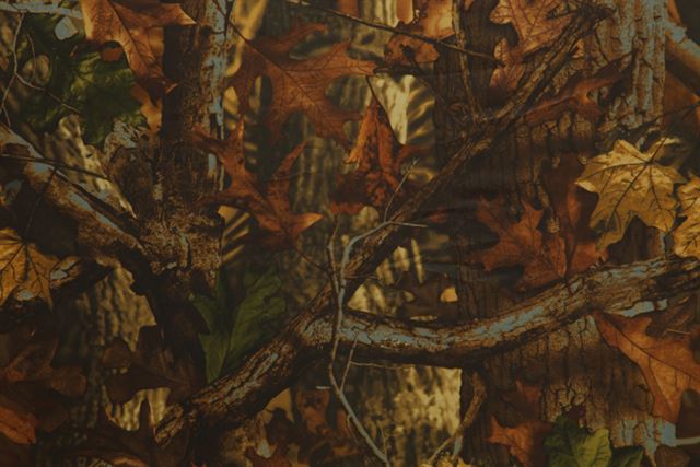 Buteo fotófedeles babzsák 2 nyeregmodell