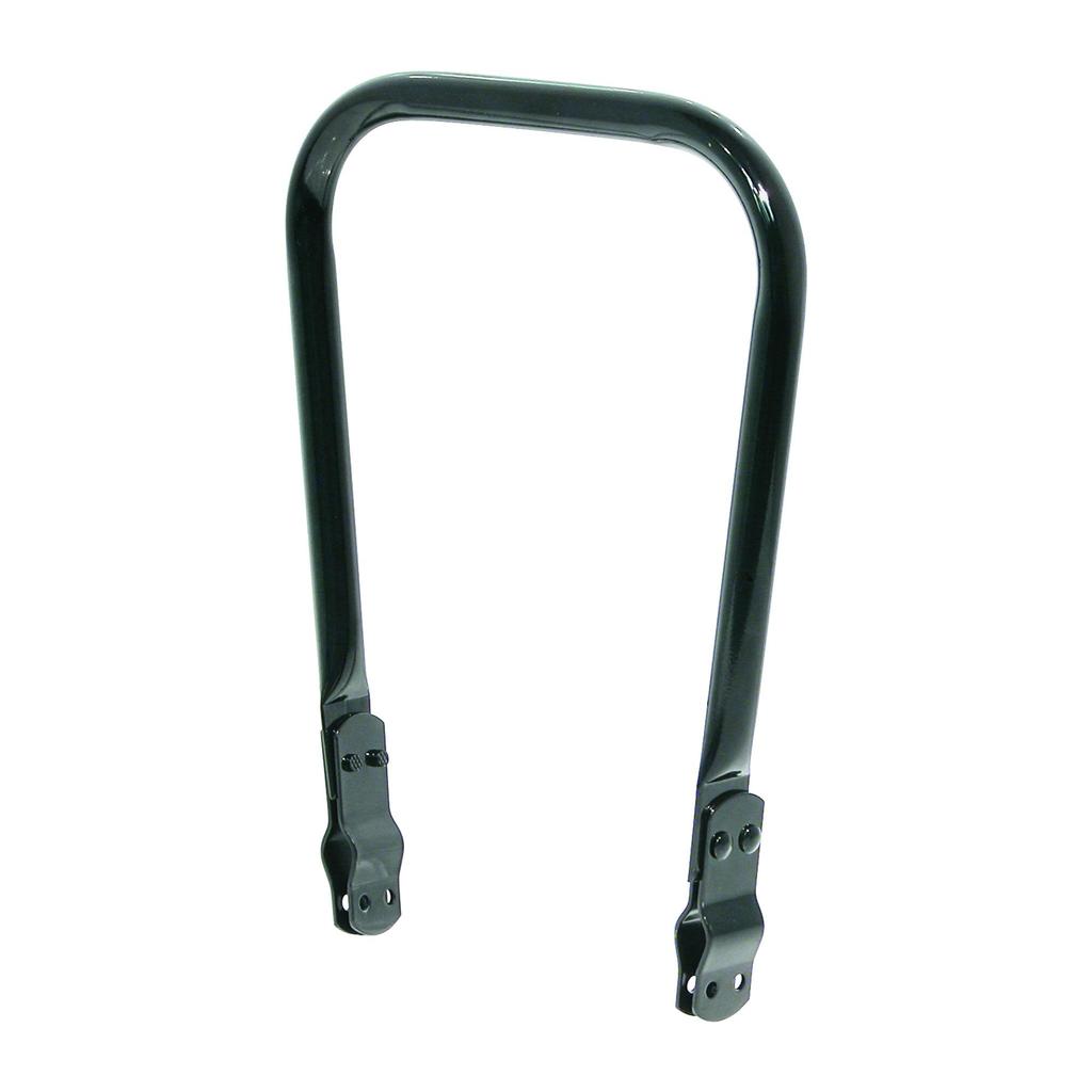 Back Support Black