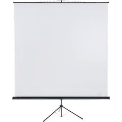 Projection screen Franken X-traLine 240x240cm white