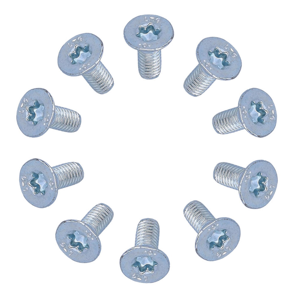 Anp screw m4x10 torx self-tapping zinc head ds a 10