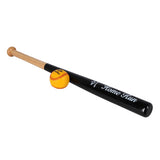 Baseball palica z baseball