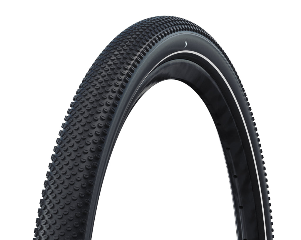 Schwalbe'a