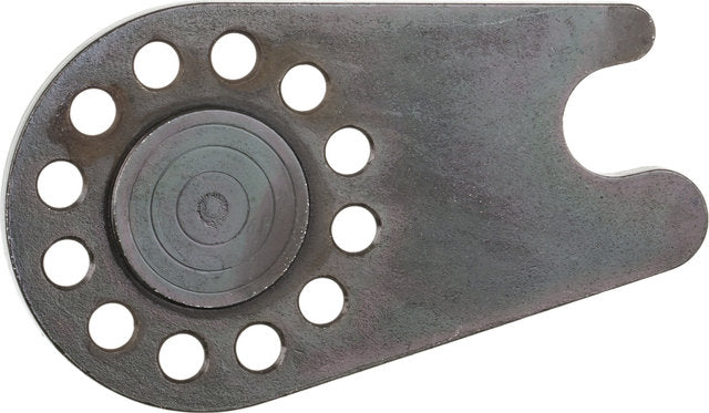 Rohloff ts oem2 axle plate