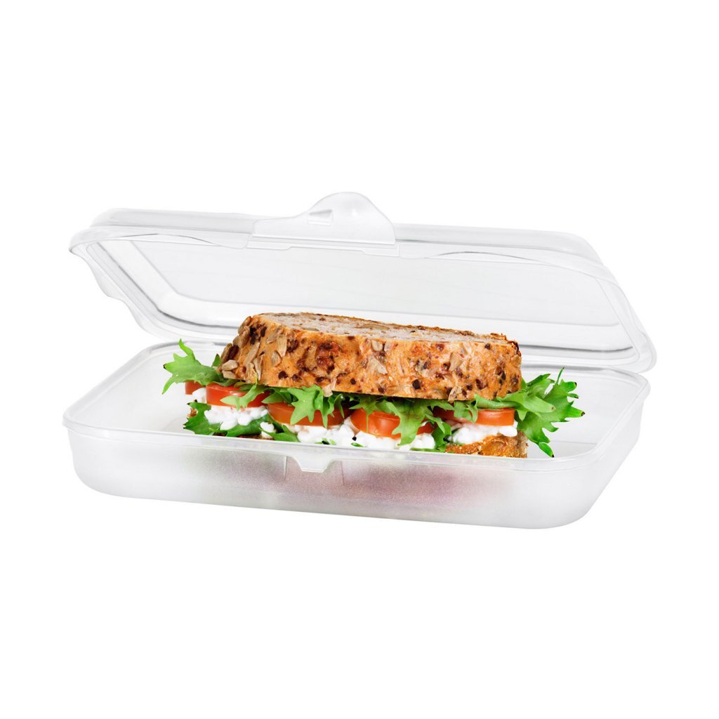 Rotho Fun frokostkasse 0,45L gennemsigtig