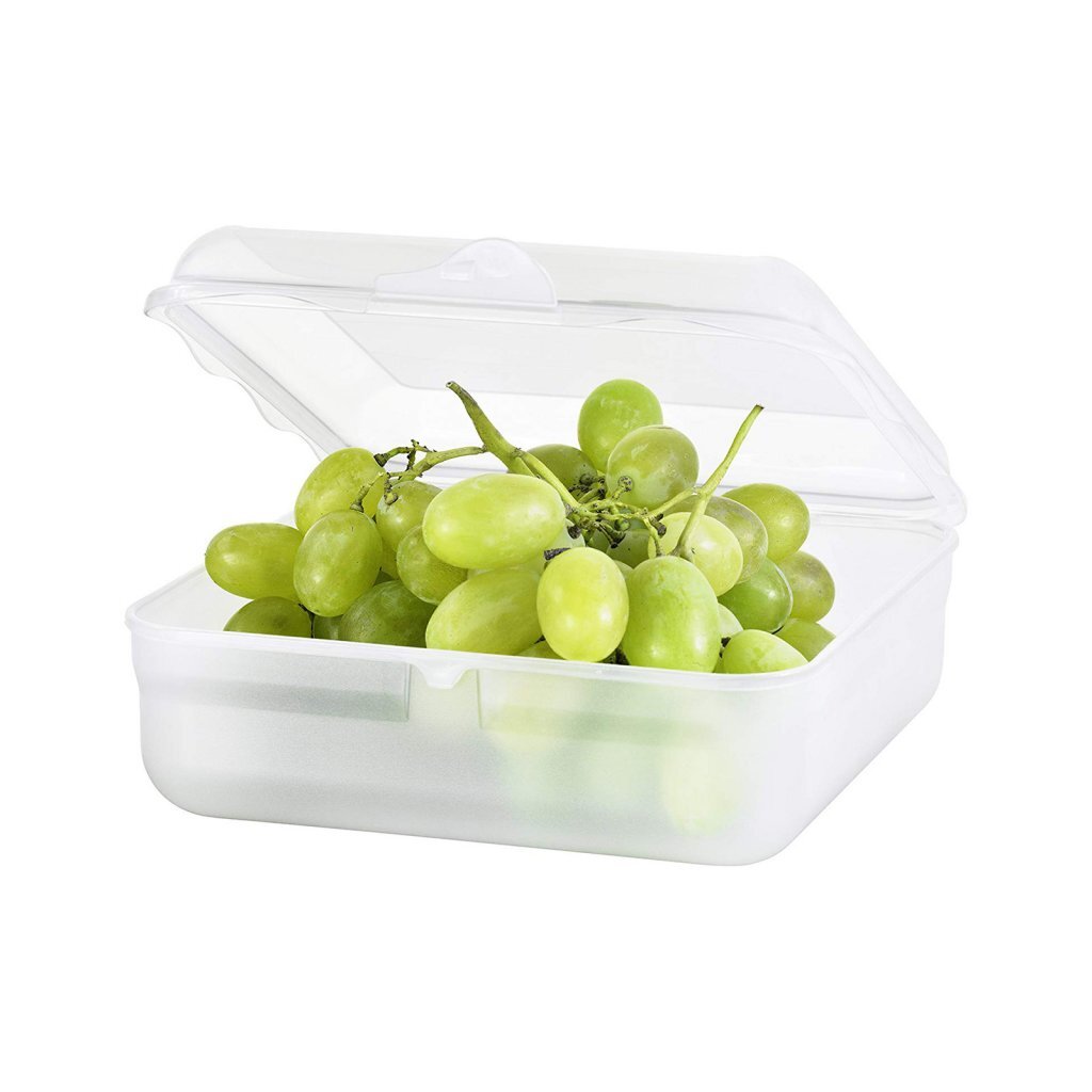 Rotho fun lunchbox square 2.35l transparent