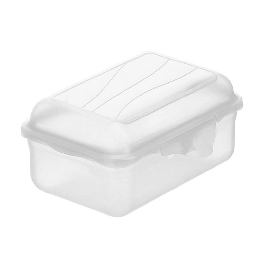 Rotho Fun Lunchbox 0.4L Transparent