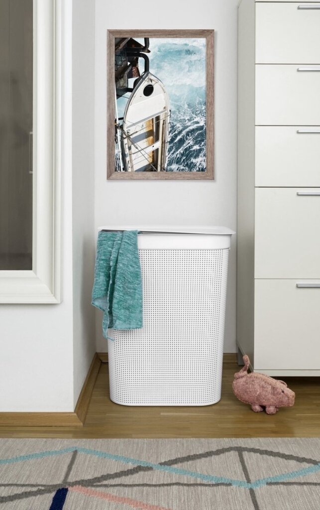 Rotho Waard collector Brisen 50 l White