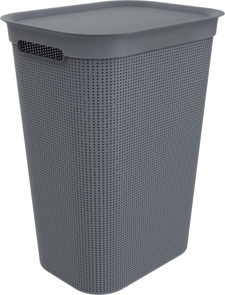 Rotho Fabis collector Brisen 50L Anthracite
