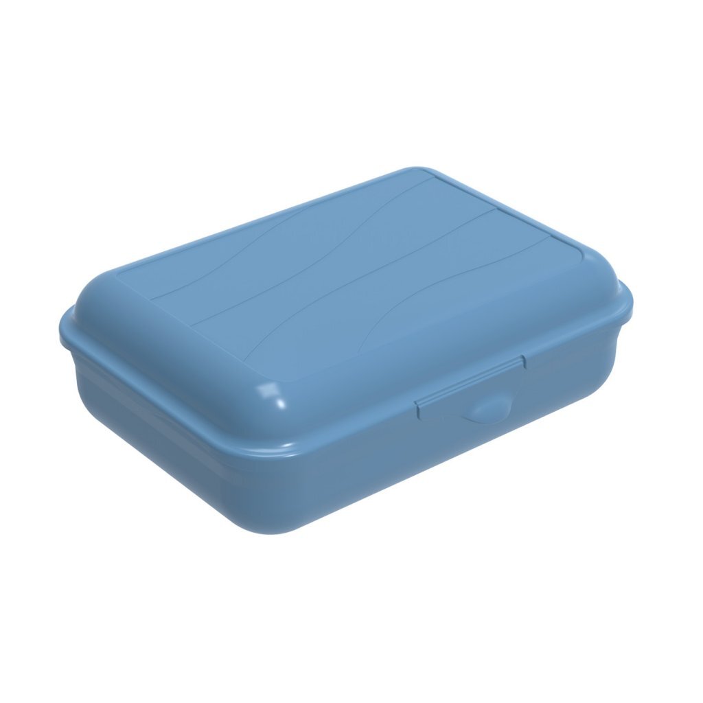 Rotho Fun Lunchbox 1.25L Horizon Blue