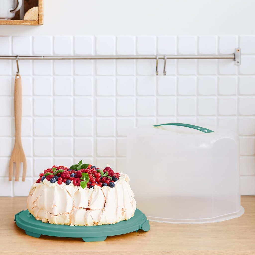 Rotho Fresho Cake box XL 35.5x34.5x26 cm Mistletoe Green Transparent