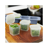 Rotho mini diepvriesdoosjes 4x0.05l horizon blauw transparant