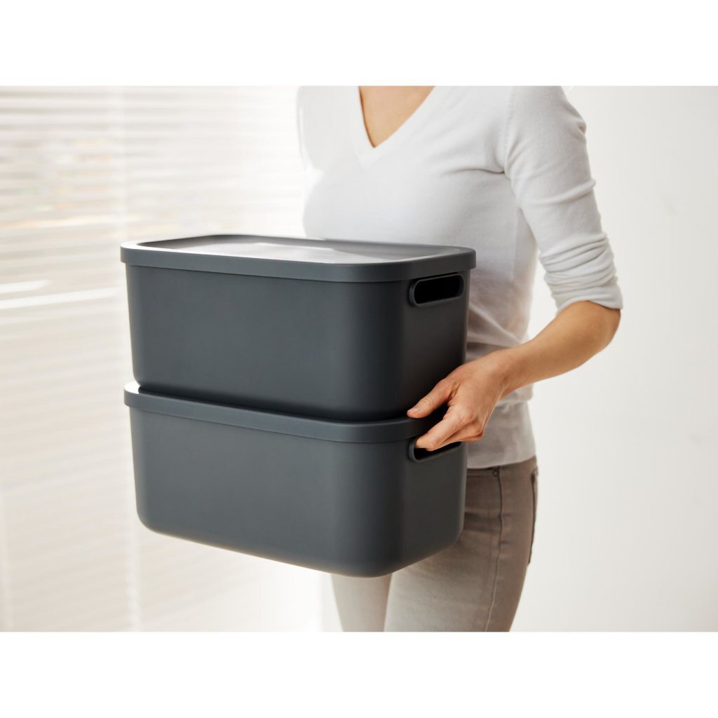 Rotho albula storage box 12l anthracite