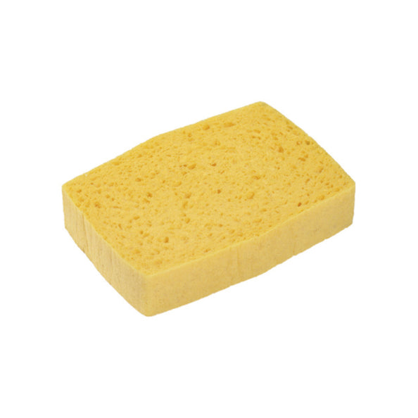 Spontex Sponge Azella 09 Large (10 pieces)