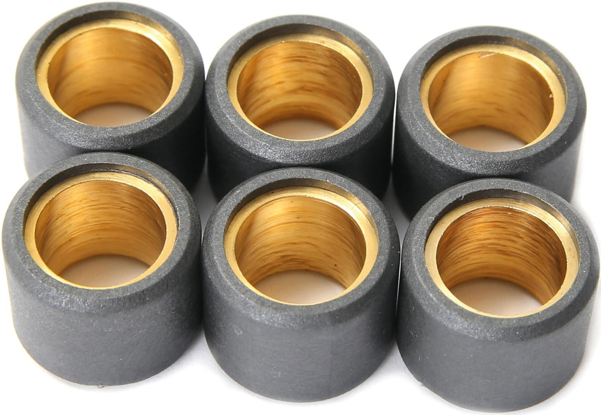 Vicma variateur gewicht roller core set 19x13,5, 10 gr,6pcs, 4177